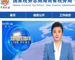 洋浦經濟開發區稅務局干沖